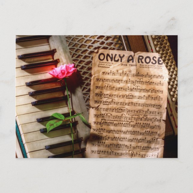 Only a Rose II Postcard (Front)