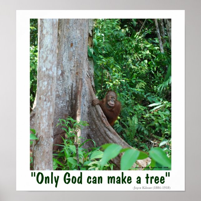 Only God Can Make a Tree and Wildlife Poster (Front)
