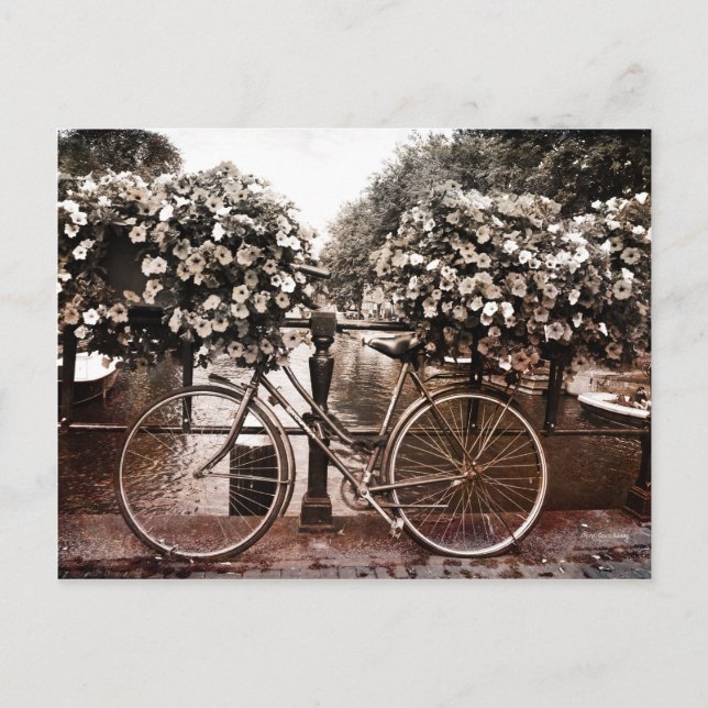 Only in Amsterdam Postcard (Front)