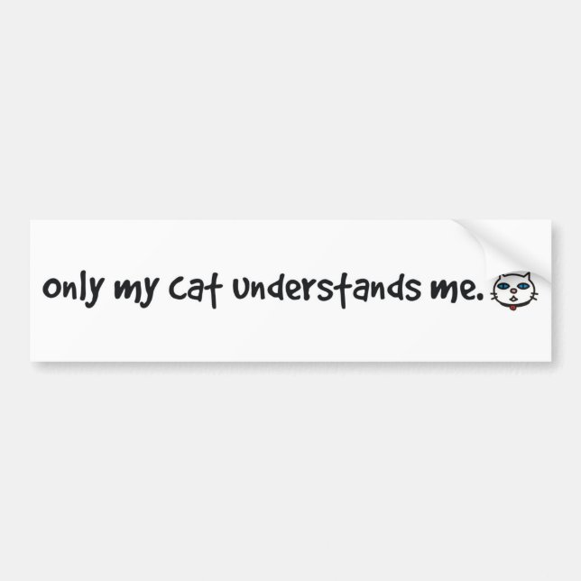 only my cat understands me bumper sticker (Front)
