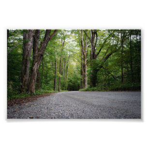 Only Road To Somewhere Photo Print