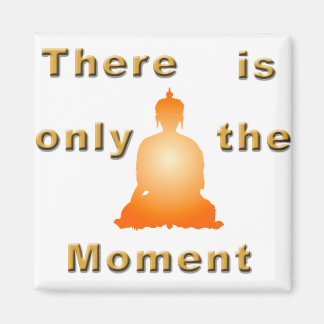 Only the moment Magnet
