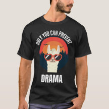 Only You Can Prevent Drama