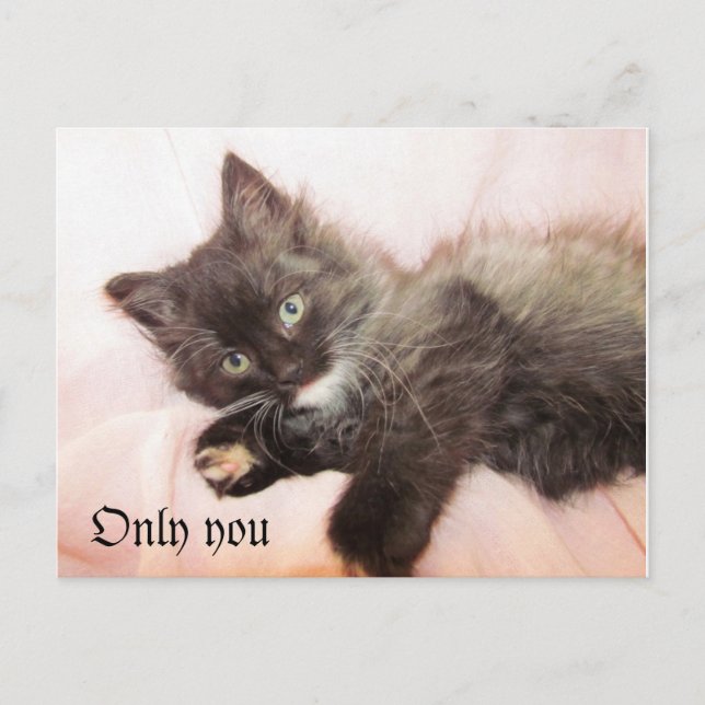 Only you postcard (Front)