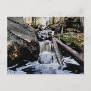 Ontario, Canada Postcard