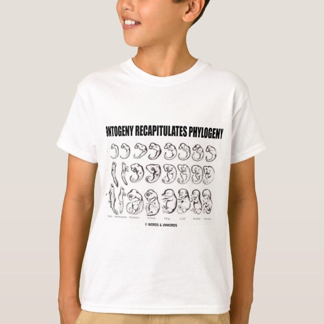 Ontogeny Recapitulates Phylogeny (Biology) T-Shirt (Front)