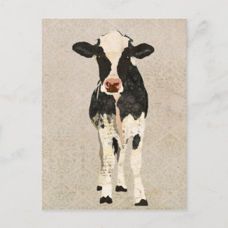 Onyx & Ivory Cow Postcard