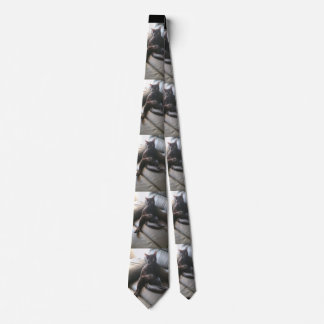 Onyx the cat tie