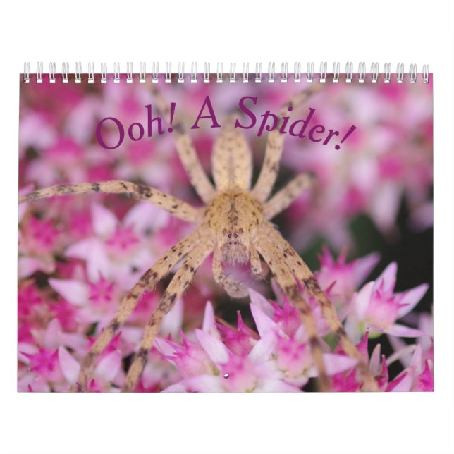 Ooh, A Spider! Calendar (Cover)