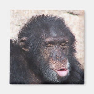 ooo ooo ooo funny face magnet