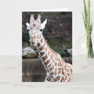 Oooh, somebody's getting older! card