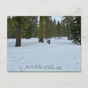 Oooh Tahoe Forest Postcard