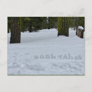 Oooh Tahoe Postcard