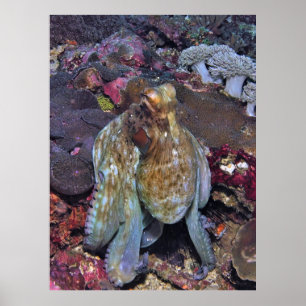 Oozing Octopus Portrait Poster