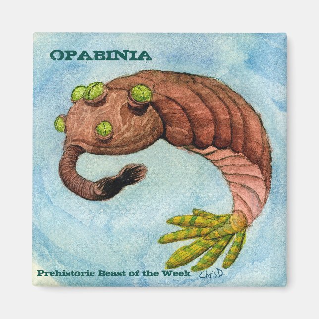 Opabinia Magnet (Front)