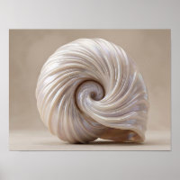Opalescent Spiral Shell Luxury Canvas Print