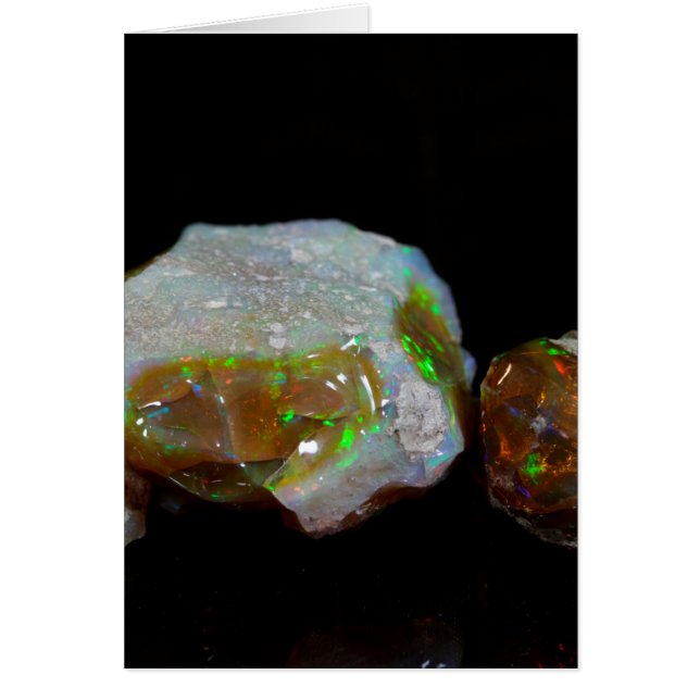 Opals (Front)