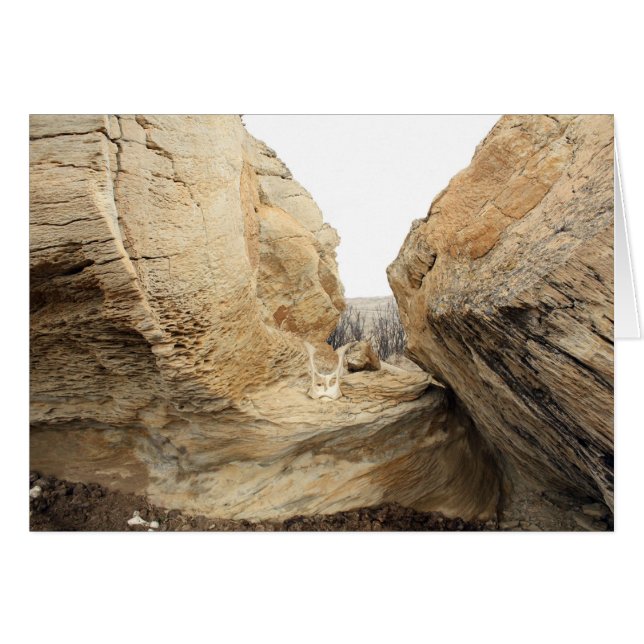 Open (Front Horizontal)