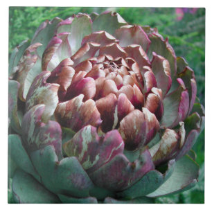 Open Artichoke. Tile