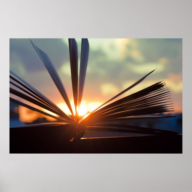 Open Book and Sunset Photography Poster (Front)
