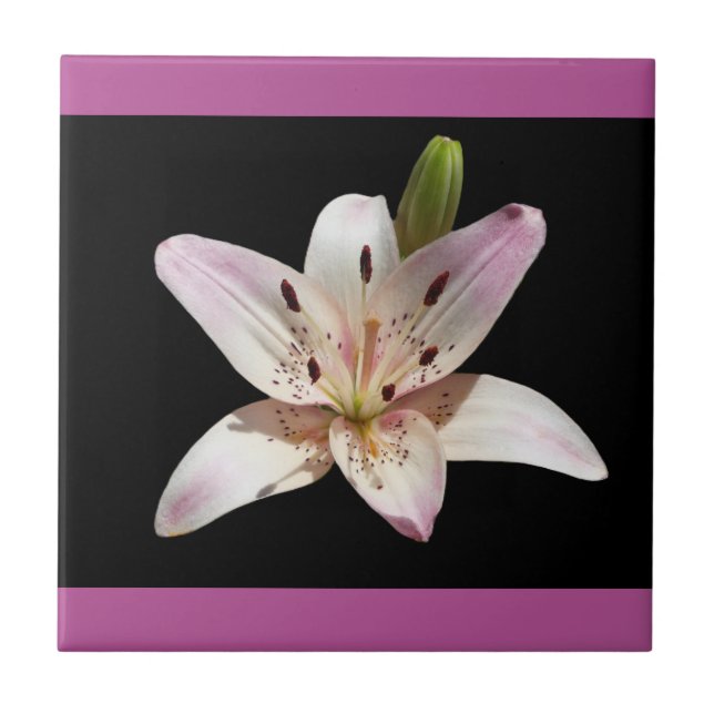 Open Lily Decorative Tile (Front)