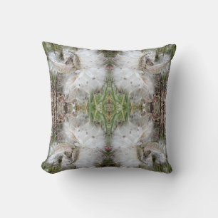 Open Milkweed Pods Seeds with Silk 2 Way Cushion