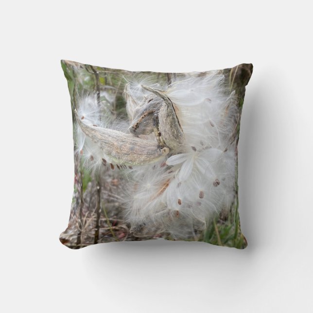 Open Milkweed Pods | Seeds with Silk | Cushion (Front)