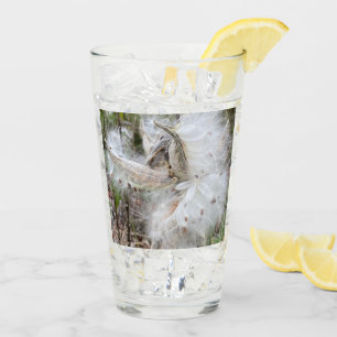 Open Milkweed Pods Seeds with Silk Glass
