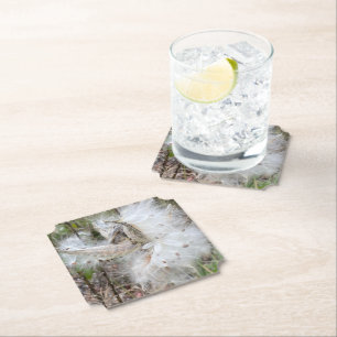 Open Milkweed Pods Seeds with Silk Paper Coaster
