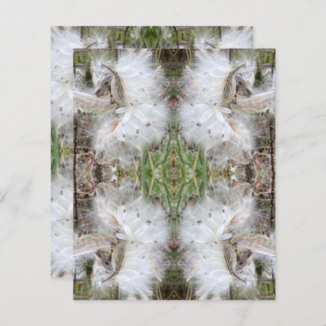 Open Milkweed Pods | Seeds with Silk | Scrapbook  (Front/Back)