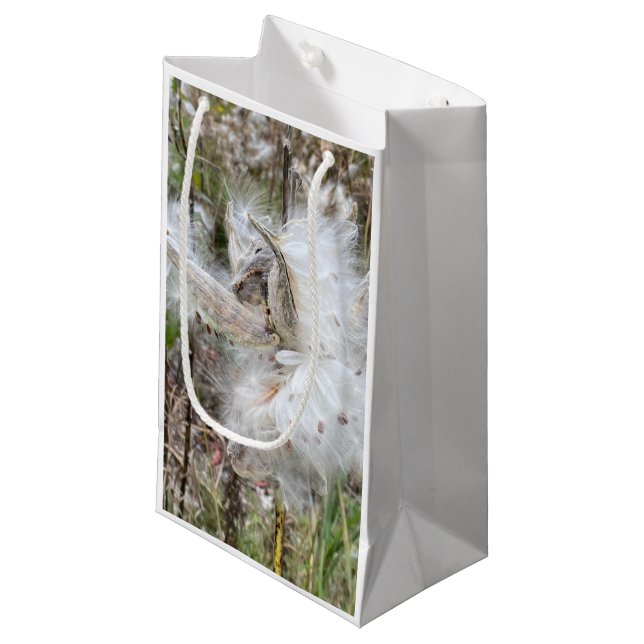 Open Milkweed Pods | Seeds with Silk | Small Gift Bag (Front Angled)