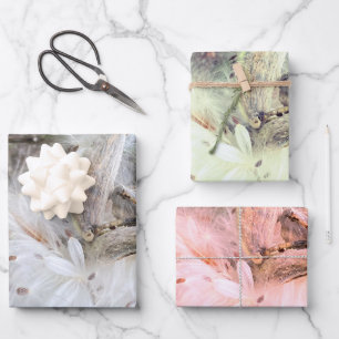 Open Milkweed Pods Seeds with Silk Wrapping Paper Sheet