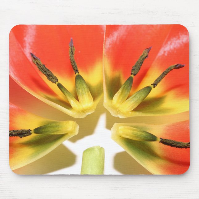 Open re-constructed red tulip mouse pad (Front)