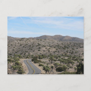 Open Road- Joshua Tree Postcard