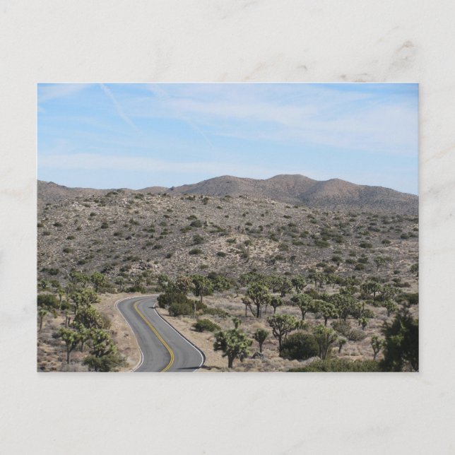 Open Road- Joshua Tree Postcard (Front)