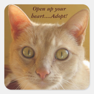 Open up your heart....Adopt! Square Sticker