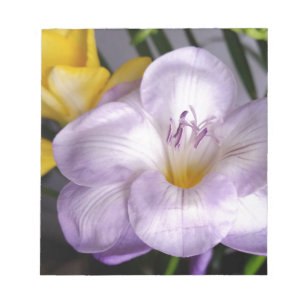 open violet freesia notepad