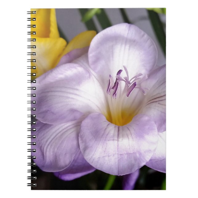 open violet freesia spiral notebook (Front)