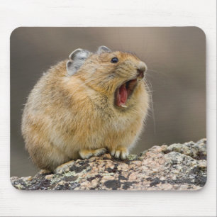 Open Wide Mouse Pad