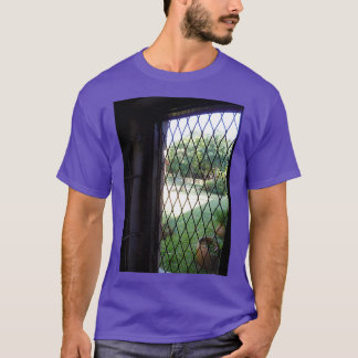 Open window with lattice looking into African gard T-Shirt