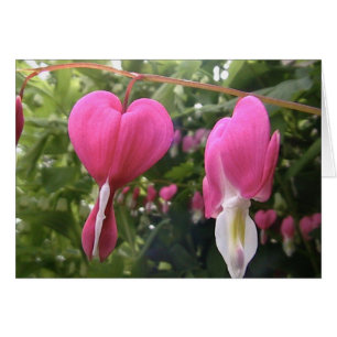 open your heart