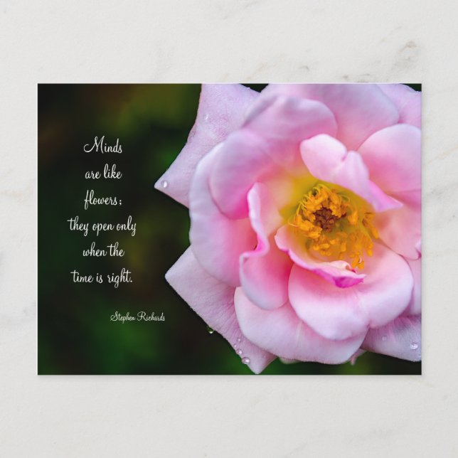 Open Your Mind Like a Flower Postcard (Front)