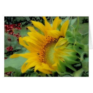 Opening Day - Sunflower