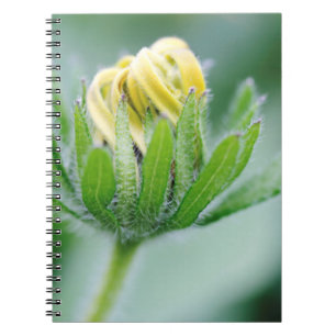 Opening Flower Of Cone Flower Notebook