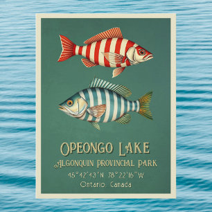 Opeongo Lake Ontario Canada fish Postcard