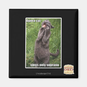 Opera Cat Magnet