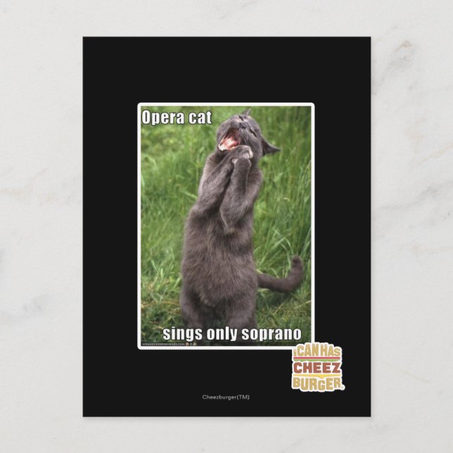 Opera Cat Postcard (Front)