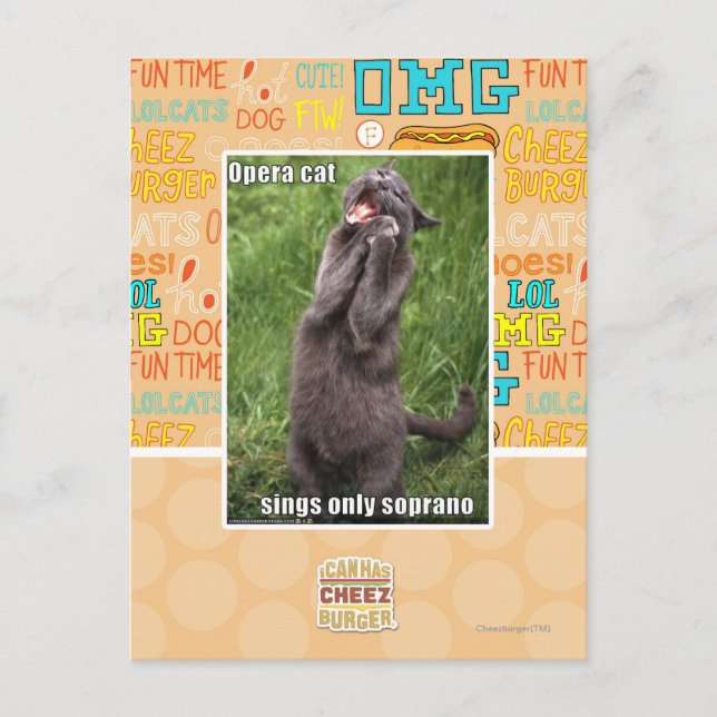 Opera Cat Postcard (Front)