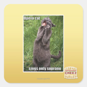 Opera Cat Square Sticker