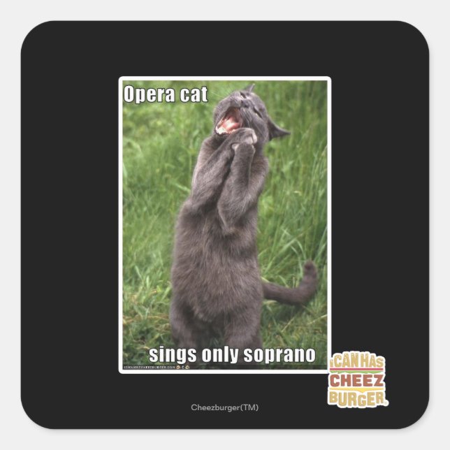 Opera Cat Square Sticker (Front)
